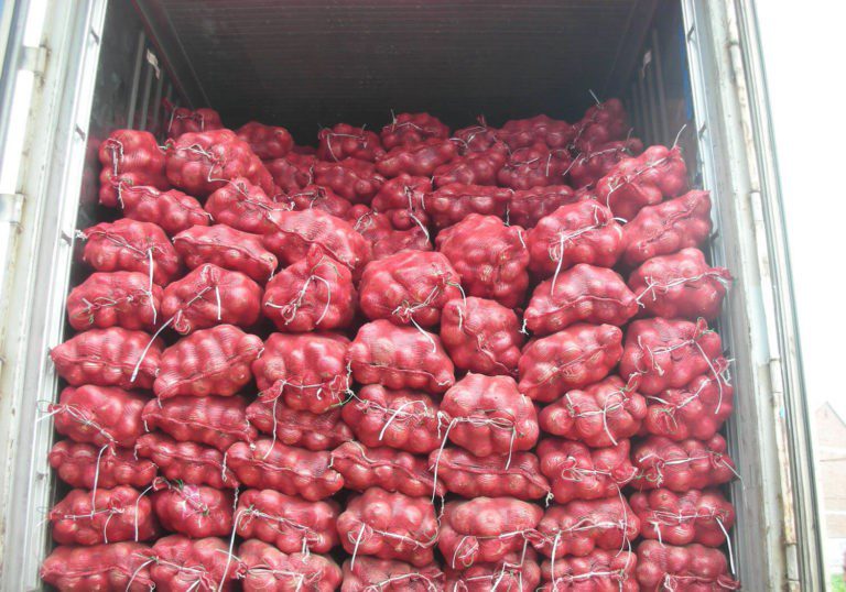 Exporting Onion