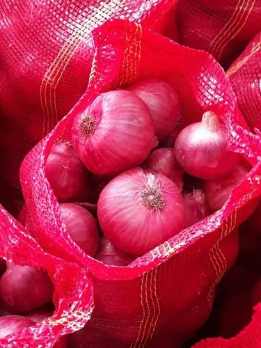 Onion bags