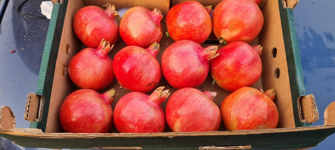 Pomegranate Box
